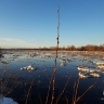 В Кировской области подтоплены почти 200 придомовых территорий