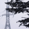Снежный апокалипсис в Приморье завершился блэкаутом: снег и ветер порвали магистральную ЛЭП