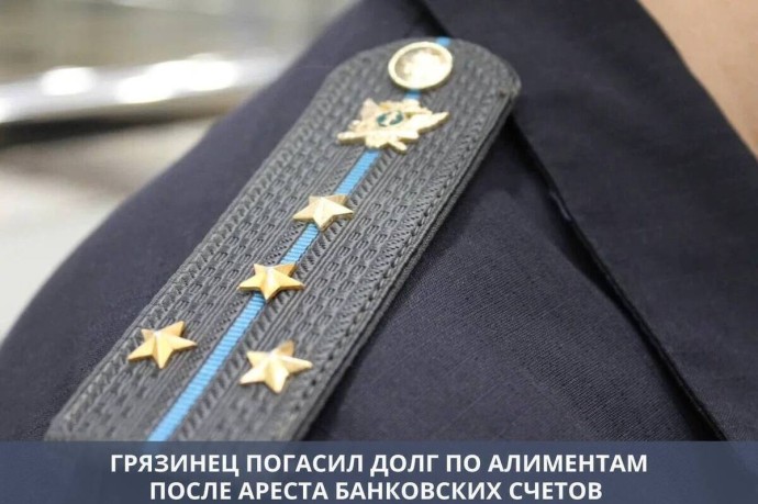 Житель Липецкой области оплатил долг по алиментам после ареста счетов