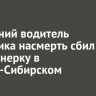 70-летний водитель грузовика насмерть сбил пенсионерку в Усолье-Сибирском