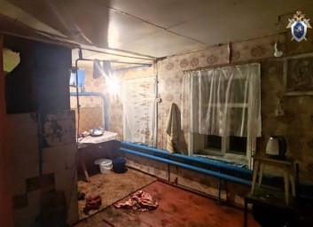 В Ардатовском районе пенсионер, виновный в гибели пенсионерки, осужден на 7,5 лет