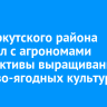 Мэр Иркутского района обсудил с агрономами перспективы выращивания плодово-ягодных культур