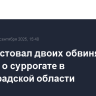 Суд арестовал двоих обвиняемых по делу о суррогате в Ленинградской области