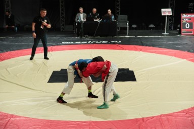 В Уфе стартовал Кубок мира по борьбе на поясах