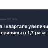 Россия в I квартале увеличила экспорт свинины в 1,7 раза