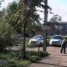 Жителя Башкирии будут судить за избиение чужой собаки