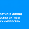 Суд обратил в доход государства активы «Саянскхимпласта»