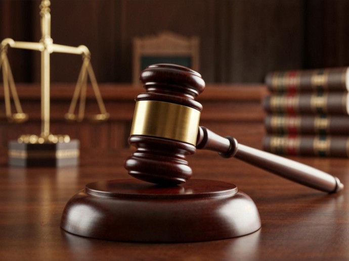 Верховный суд отправил дело о выселении Долиной на пересмотр