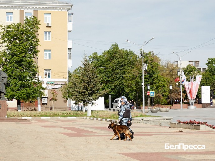31 населённый пункт Белгородской области ВСУ атаковали за прошедшие сутки