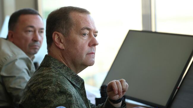 Медведев поздравил "всех друзей" России с испытанием "Буревестника"