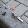 В Белгородской области за сутки при атаках беспилотников пострадали 18 человек