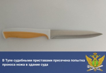 Туляк пытался пронести нож в здание суда