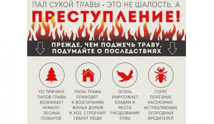 В Ярославской области введены меры для защиты лесов от пожаров