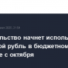 Правительство начнет использовать цифровой рубль в бюджетном процессе с октября