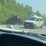 Автомобиль улетел в кювет в результате ДТП на юге Сахалина