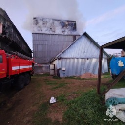В Башкирии загорелся зерносушильный цех
