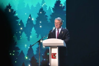 Воробьёв: Совет Федерации ждёт предложений в план по поддержке лесной отрасли