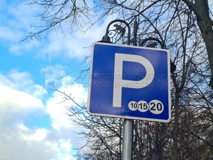 Более 1,1 тыс. многодетных семей оформили разрешение на бесплатную парковку в Подмосковье