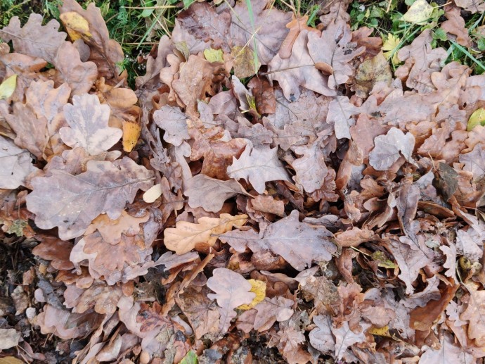 В Башкирии в конце осени и начале зимы ожидается удивительная погода В Башкирии в конце осени и начале зимы ожидается удивительная погода