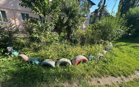 В Курске прокуратура потребовала убрать 156 автошин, уложенных на газонах у двух домов В Курске прокуратура потребовала убрать 156 автошин, уложенных на газонах у двух домов