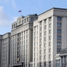ГД сократила срок выезда мигрантов с детьми после аннулирования патента