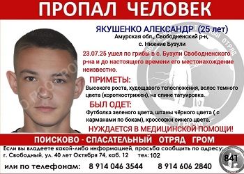 Грибник пропал в Амурской области