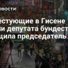Протестующие в Гисене избили депутата бундестага, сообщила председатель АдГ