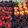 Россиян предупредили об опасности продаваемых у дороги фруктов и овощей