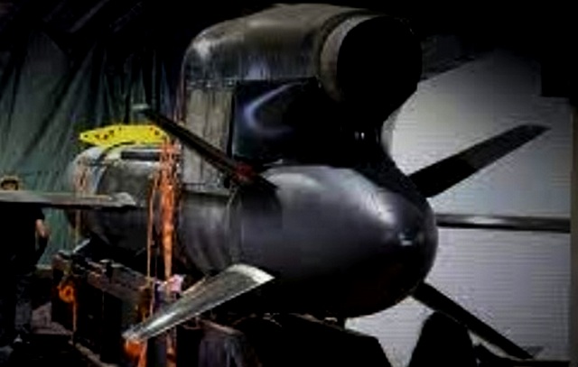 В России "Буревестник", а на Украине - примитивный недоделанный "Фламинго" В России "Буревестник", а на Украине - примитивный недоделанный "Фламинго"