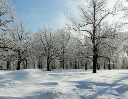 В Башкирии усилятся морозы