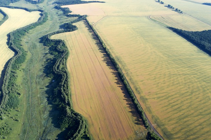 Двойных: процедура перевода сельхозземель в иные категории стала прозрачной