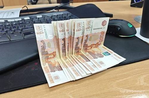 Амурстат назвал самые высокооплачиваемые сферы региона