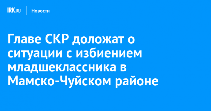 Главе СКР доложат о ситуации с избиением младшеклассника в Мамско-Чуйском районе