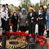 Кусты сирени высадили в центре Ярославля в преддверии Дня Победы