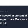 Ливень с грозой и сильный ветер прогнозируются в Москве в воскресенье