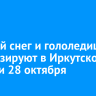 Мокрый снег и гололедицу прогнозируют в Иркутской области 28 октября