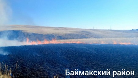 В Башкирии за сутки потушили два природных пожара
