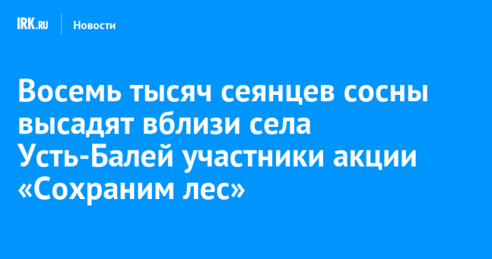 Восемь тысяч сеянцев сосны высадят вблизи села Усть-Балей участники акции «Сохраним лес»