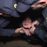 В Пензе житель Екатеринбурга пошел на преступление, чтобы вернуться домой