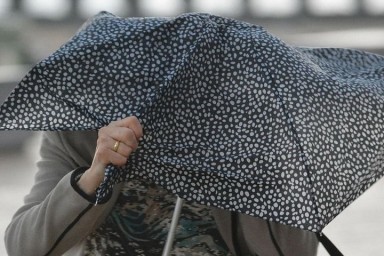 МЧС предупредило жителей Курской области о сильном ветре