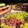 В мэрии Благовещенска рассказали, как продавать сезонную продукцию законно