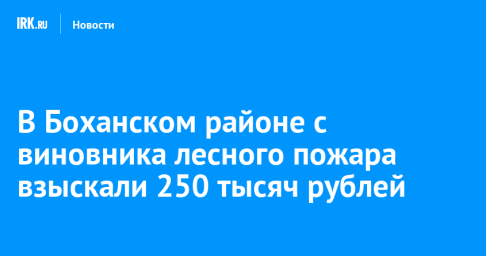 В Боханском районе с виновника лесного пожара взыскали 250 тысяч рублей