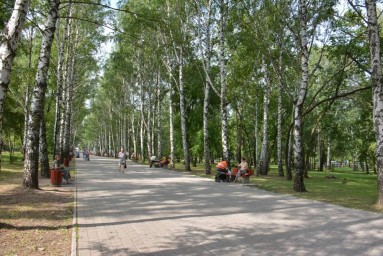 Городские власти рассказали о ходе благоустройства парков и скверов