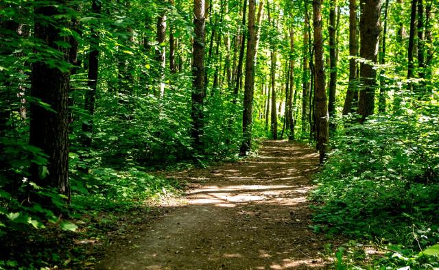 Муниципалитеты в Башкирии предлагают лишить части полномочий Муниципалитеты в Башкирии предлагают лишить части полномочий