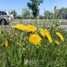 Температурные качели ждут жителей Бурятии в выходные