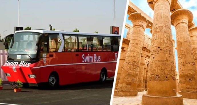 В Египте для туристов запускают невероятный плавающий автобус: чтобы удобнее было добираться до достопримечательностей В Египте для туристов запускают невероятный плавающий автобус: чтобы удобнее было добираться до достопримечательностей
