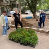 «Зеленый апрель» помог сделать дворы астраханцев яркими и красивыми