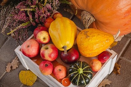 Россиянам назвали необходимые для укрепления иммунитета осенью продукты