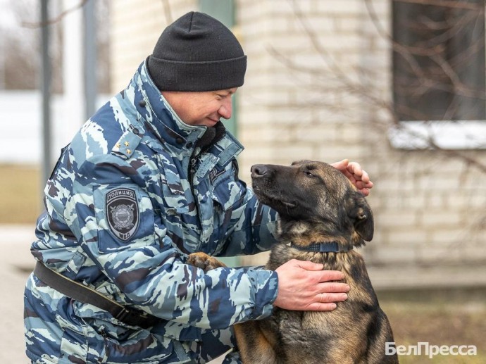 Хвостатые товарищи. Как собаки помогают белгородским полицейским раскрывать преступления