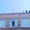 «Смертельные танцы»: во Владивостоке школьники устроили опасное шоу на крыше школы